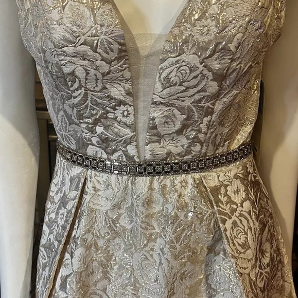 Aspeed Shimmery Champagne Floral Brocade Sleeveless Gown NWT Size Small - Picture 2 of 16